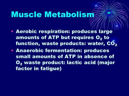 Muscle Metabolism Aerobic respiration: produces large amounts of ATP but requires O 2 to function, waste products: water, CO 2 Anaerobic fermentation: