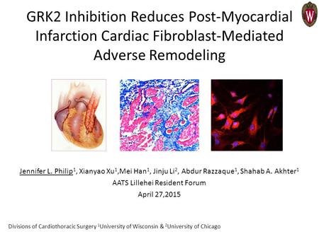 GRK2 Inhibition Reduces Post-Myocardial Infarction Cardiac Fibroblast-Mediated Adverse Remodeling Jennifer L. Philip 1, Xianyao Xu 1,Mei Han 1, Jinju Li.