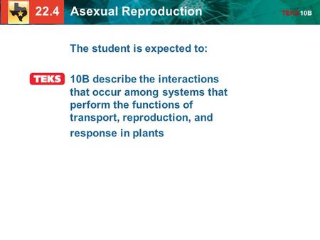 22.4 Asexual Reproduction TEKS 10B The student is expected to: 10B describe the interactions that occur among systems that perform the functions of transport,