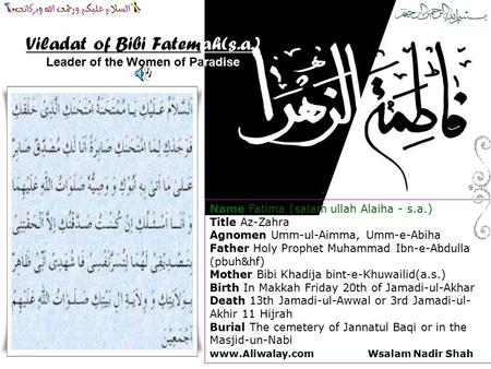 Leader of the Women of Paradise