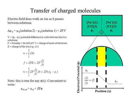 Transfer of charged molecules [Na + ](2) [Cl - ](2)  2 [Na + ](1) [Cl - ](1)  1 Electrical Potential (  ) Position (x) 11 22 Electric field does.