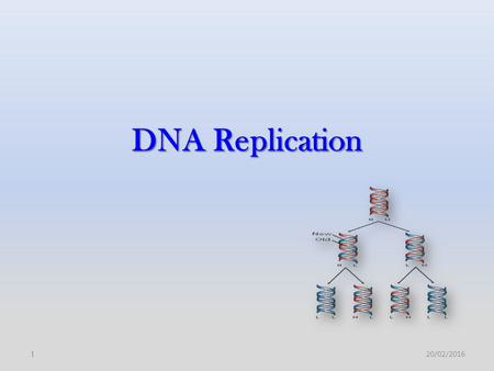 DNA Replication 20/02/20161. 2 DNA replication is central to life and to evolution; in which the stored genomic information is handed down to the next.