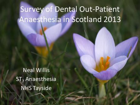 Survey of Dental Out-Patient Anaesthesia in Scotland 2013 Neal Willis ST 7 Anaesthesia NHS Tayside.