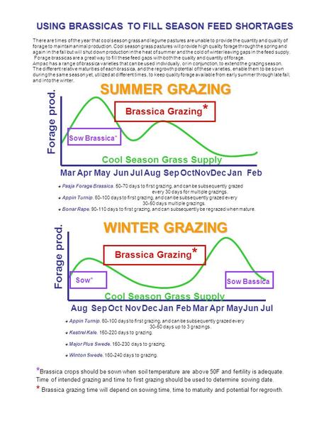 Forage prod. MarAprMayJunJulAugSepOctNov DecJanFeb Cool Season Grass Supply Brassica Grazing * Sow Brassica* USING BRASSICAS TO FILL SEASON FEED SHORTAGES.