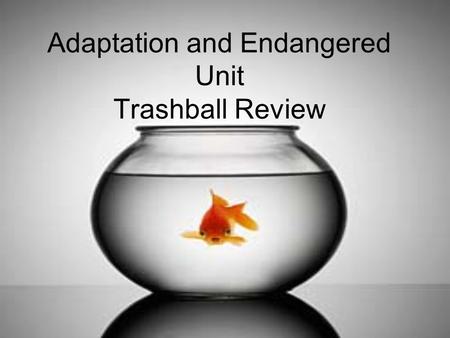 Adaptation and Endangered Unit Trashball Review. A trait that helps an organism survive and reproduce ADAPTATION.