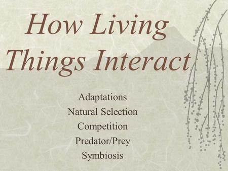 How Living Things Interact Adaptations Natural Selection Competition Predator/Prey Symbiosis.