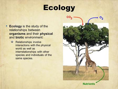 Ecology O2 Nutrients CO2 Ecology is the study of the relationships between organisms and their physical and biotic environment: Relationships involve.