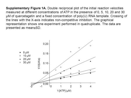 1/[ATP] (µM) -201234 1/V(UA/s) 0,00 0,05 0,10 0,15 0,20 5 µM 10 µM 20 µM 30 µM Supplementary Figure 1A. Double reciprocal plot of the initial reaction.