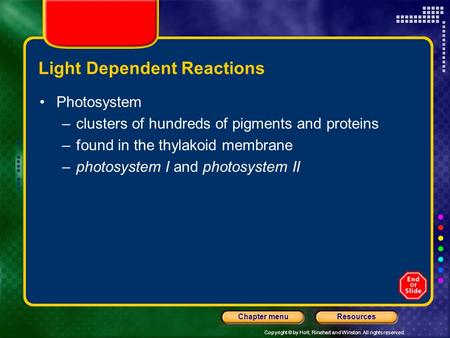 Copyright © by Holt, Rinehart and Winston. All rights reserved. ResourcesChapter menu Light Dependent Reactions Photosystem –clusters of hundreds of pigments.