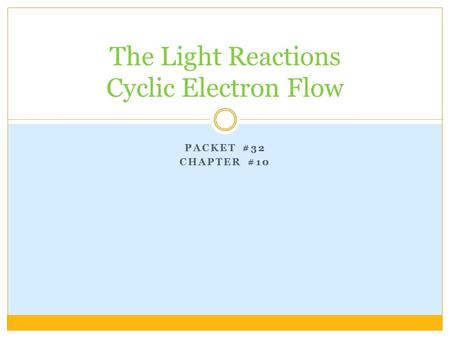 PACKET #32 CHAPTER #10 The Light Reactions Cyclic Electron Flow.