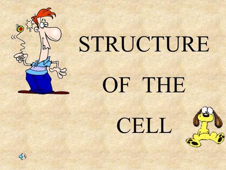 STRUCTURE OF THE CELL 1. Explain why the cell is a dynamic factory of life: 3 Pops.