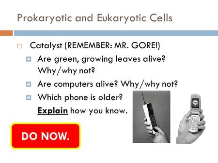 Prokaryotic and Eukaryotic Cells  Catalyst (REMEMBER: MR. GORE!)  Are green, growing leaves alive? Why/why not?  Are computers alive? Why/why not? 