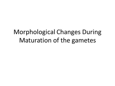 Morphological Changes During Maturation of the gametes