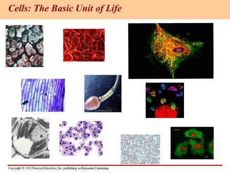 Copyright © 2003 Pearson Education, Inc. publishing as Benjamin Cummings Cells: The Basic Unit of Life.