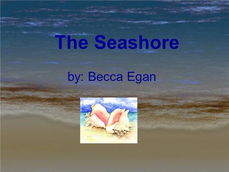 The Seashore by: Becca Egan. The World’s Shores Two thirds of water is covering the worlds surface. The seashore is made up of a mixture of crushed rocks,