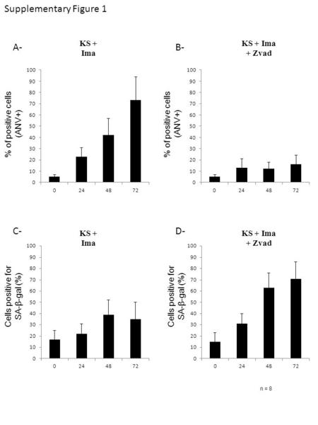 KS + Ima + Zvad % of positive cells (ANV+) Cells positive for SA-β-gal (%) Cells positive for SA-β-gal (%) % of positive cells (ANV+) Supplementary Figure.