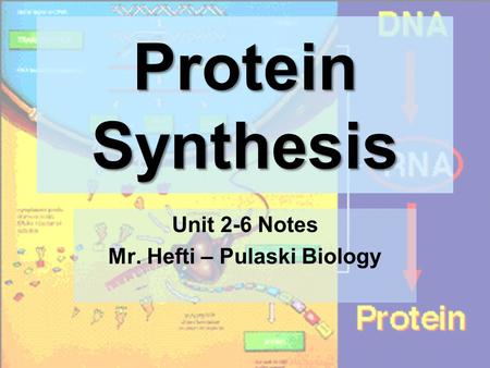 Protein Synthesis Unit 2-6 Notes Mr. Hefti – Pulaski Biology.