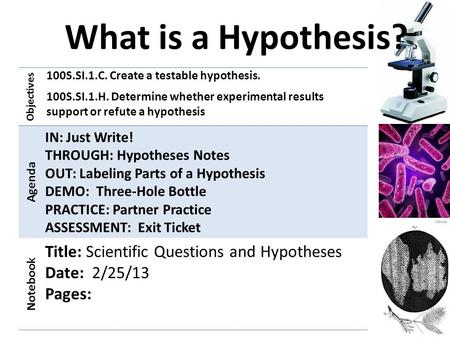 What is a Hypothesis? Objectives 100S.SI.1.C. Create a testable hypothesis. 100S.SI.1.H. Determine whether experimental results support or refute a hypothesis.