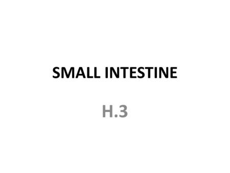 SMALL INTESTINE H.3. SMALL INTESTINE STRUCTURE SHORT DUODENUM-LIVER & PANCREATIC JUICES ENTER TWO LONG SECTIONS-JEJUNUM & ILLEUM 2 LAYERS OF SMOOTH MUCSLE.