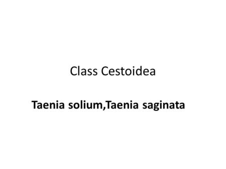 Class Cestoidea Taenia solium,Taenia saginata. Class Cestoidea, classification A- Intestinal cestode :live in the lumen of intestine:eg Taenia saginata.