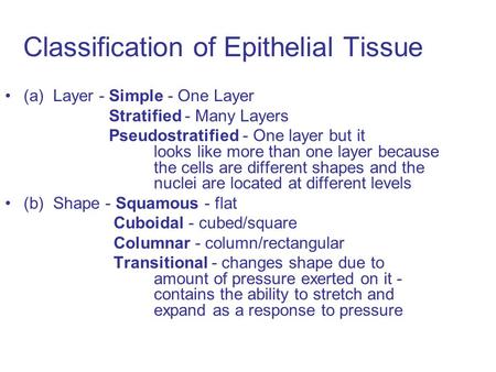 Classification of Epithelial Tissue (a) Layer - Simple - One Layer Stratified - Many Layers Pseudostratified - One layer but it looks like more than one.