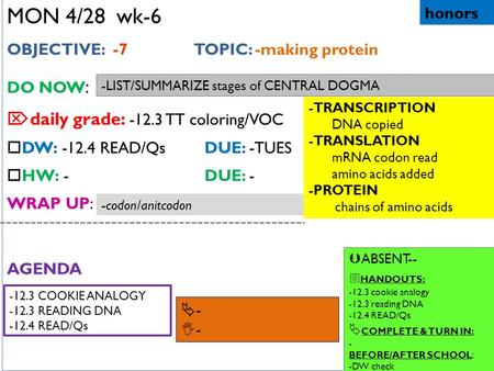 MON 4/28 wk-6 OBJECTIVE: -7 TOPIC: -making protein DO NOW :  daily grade: -12.3 TT coloring/VOC  DW: -12.4 READ/QsDUE: -TUES  HW: -DUE: - WRAP UP: AGENDA.