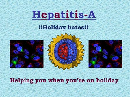 Hepatitis-AHepatitis-A !!Holiday hates!! Helping you when you’re on holiday.