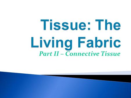 Part II – Connective Tissue.  Most abundant and widely distributed tissue  Main classes: 1.Connective tissue proper (loose & dense) 2.Cartilage 3.Bone.