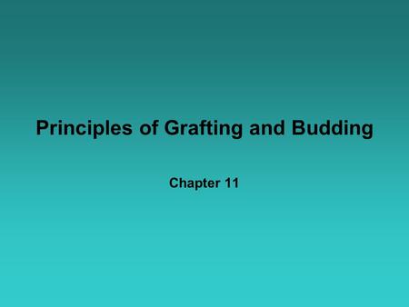 Principles of Grafting and Budding