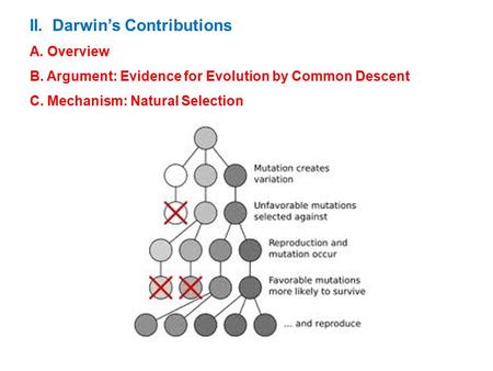 II. Darwin’s Contributions A. Overview B. Argument: Evidence for Evolution by Common Descent C. Mechanism: Natural Selection.