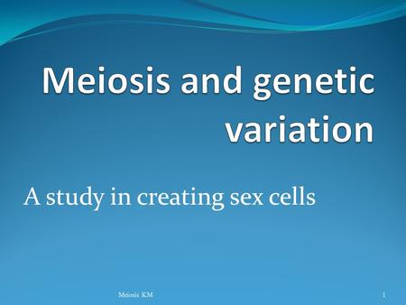 A study in creating sex cells Meiosis KM1 Genome Genome: Complete complement of an organism’s DNA. Includes genes (control traits) and non-coding DNA.