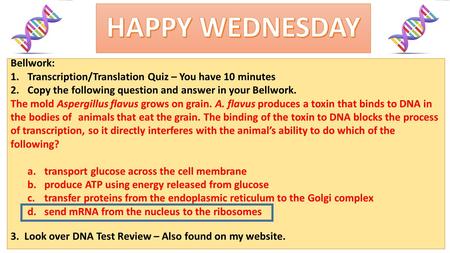 Bellwork: 1.Transcription/Translation Quiz – You have 10 minutes 2.Copy the following question and answer in your Bellwork. The mold Aspergillus flavus.