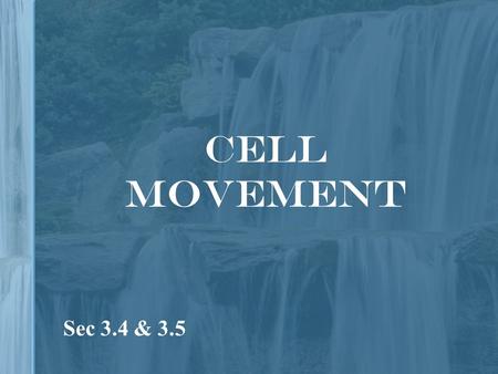 Cell Movement Sec 3.4 & 3.5. Passive Transport Requires no energy Four Forms 1.Diffusion 2.Osmosis 3.Contractile vacuole 4.Facilitated Diffusion.