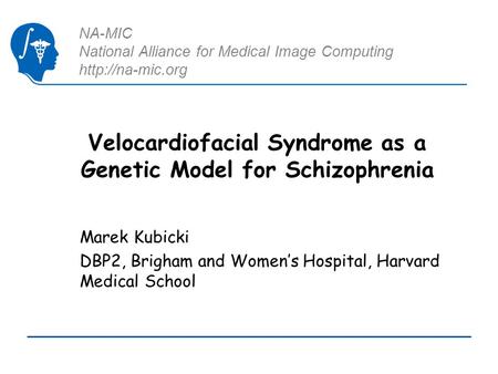 NA-MIC National Alliance for Medical Image Computing  Velocardiofacial Syndrome as a Genetic Model for Schizophrenia Marek Kubicki DBP2,