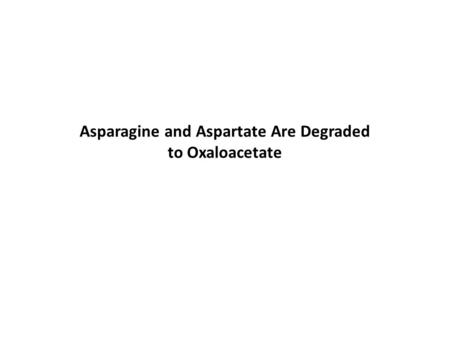 Asparagine and Aspartate Are Degraded to Oxaloacetate.