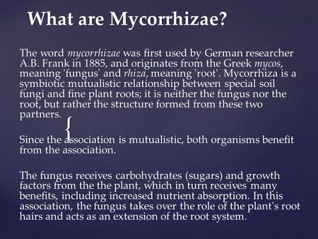 { What are Mycorrhizae? The word mycorrhizae was first used by German researcher A.B. Frank in 1885, and originates from the Greek mycos, meaning 'fungus'