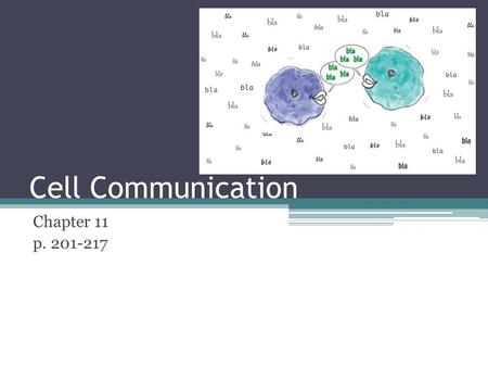 Cell Communication Chapter 11 p. 201-217.