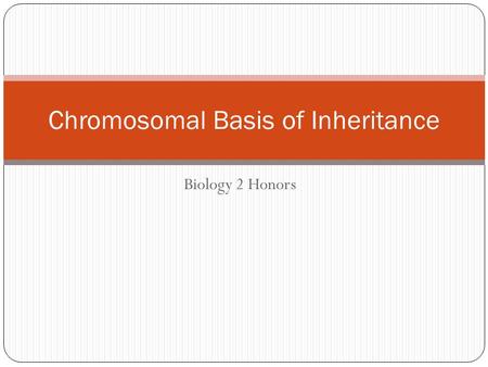 Biology 2 Honors Chromosomal Basis of Inheritance.