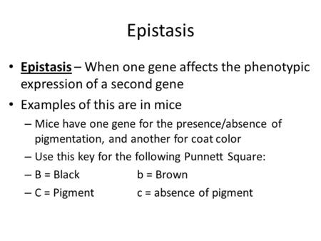 Epistasis Epistasis – When one gene affects the phenotypic expression of a second gene Examples of this are in mice – Mice have one gene for the presence/absence.