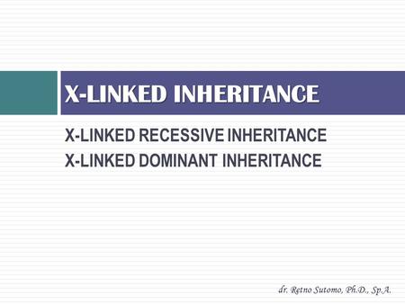 X-LINKED RECESSIVE INHERITANCE X-LINKED DOMINANT INHERITANCE X-LINKED INHERITANCE dr. Retno Sutomo, Ph.D., Sp.A.