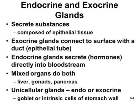 5-1 Endocrine and Exocrine Glands Secrete substances –composed of epithelial tissue Exocrine glands connect to surface with a duct (epithelial tube) Endocrine.