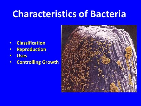 Characteristics of Bacteria