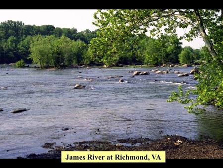 James River at Richmond, VA. Semi-Permeable Membrane Devices (SPMD’s) for Sampling Dissolved Organic Substances from Surface Waters Don Smith Virginia.