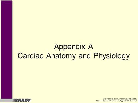 Gail Walraven, Basic Arrhythmias, Sixth Edition ©2006 by Pearson Education, Inc., Upper Saddle River, NJ Appendix A Cardiac Anatomy and Physiology.