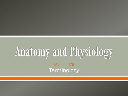  Terminology. Anatomy The scientific discipline that investigates the structure of the body.