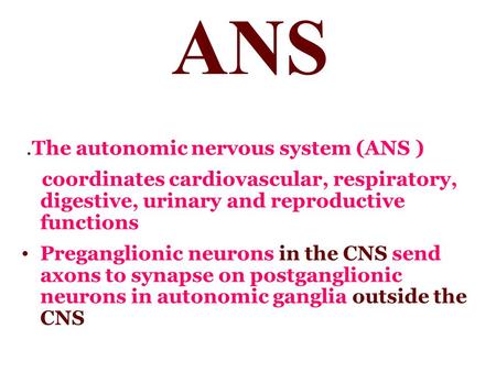 ANS .The autonomic nervous system (ANS )