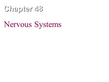 Chapter 48 Nervous Systems.