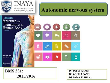 Autonomic nervous system BMS 231: 2015/2016 DR SOBIA IKRAM DR AQEELA BANO DR SADIA FARHAN.