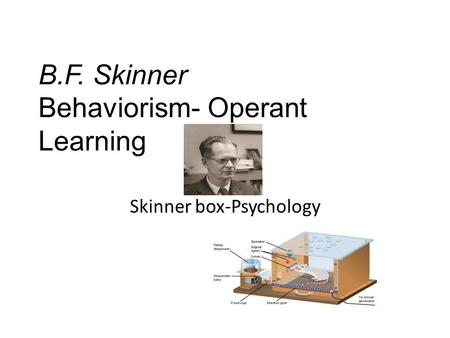 B.F. Skinner Behaviorism- Operant Learning Skinner box-Psychology.