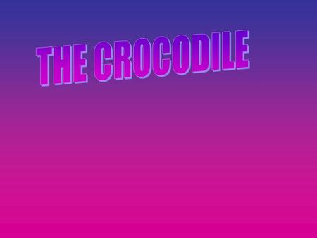 There was a Crocodile who lived in Darwin, he was the biggest Crocodile in all of the creek. But he had a problem. DARWIN.